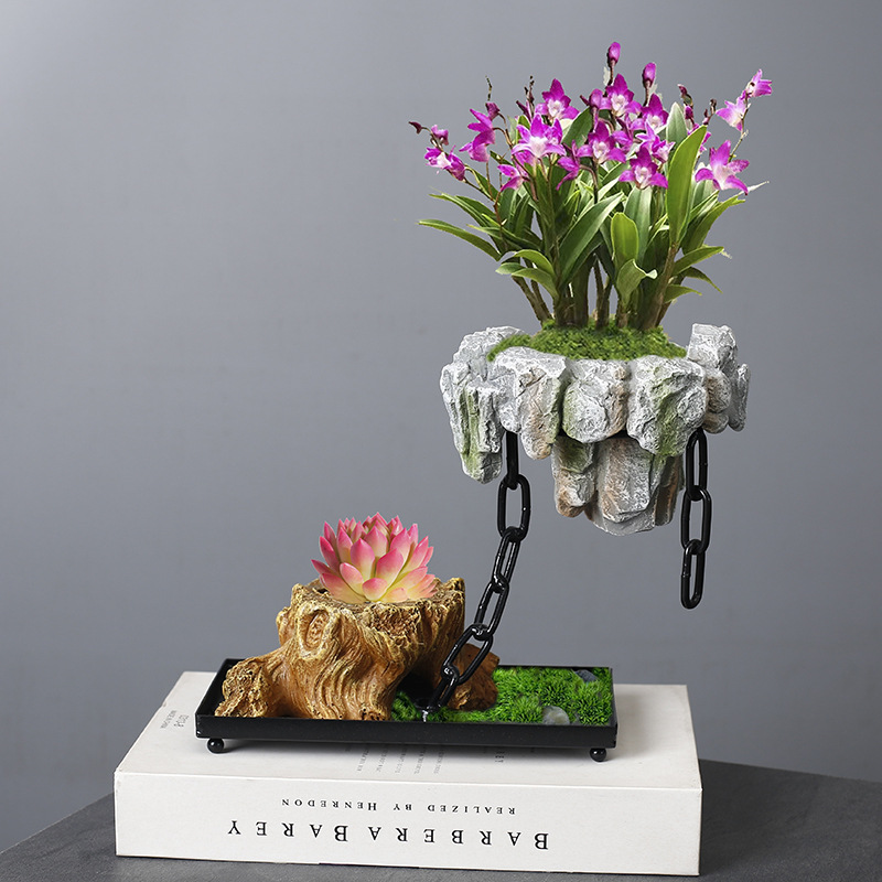 Cross-border asparagus fleshy basin rich tree bonsai iron tree rice bamboo indoor good breeding floating island suspended iron micro landscape basin