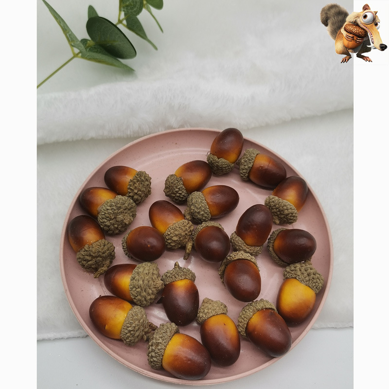 Dried flower material natural Acorn Acorn kindergarten DIY handmade material accessories shooting props simulation nuts
