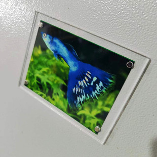 Acrylic refrigerator magnet punch photo frame picture frame display card