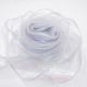 White Magic Color Fishtail Yarn