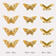 Hollow Butterfly F Gold