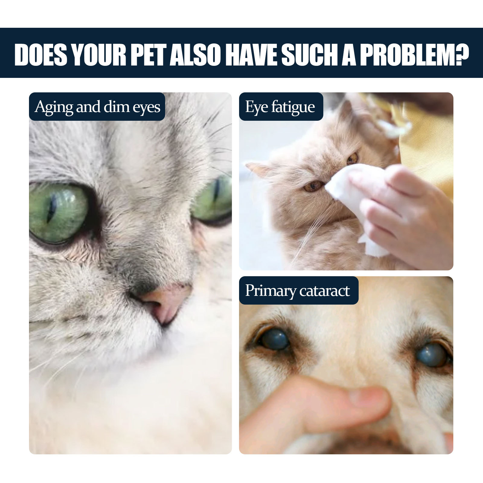 Yegbong Pet Eye Drops for Cats and Dogs to Remove Tear Tracks to Relieve Eye Pruritus Mild Cleansing Eye Drops