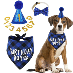 Factory Direct Pet mouth towel hat tie party set dog birthday decoration balloon letter pull flag