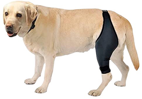 Pet Protective Equipment Leg Protective Cover for Postoperative Leg Injury Dog Knee Joint Dislocation Support for Dog Knee Support
