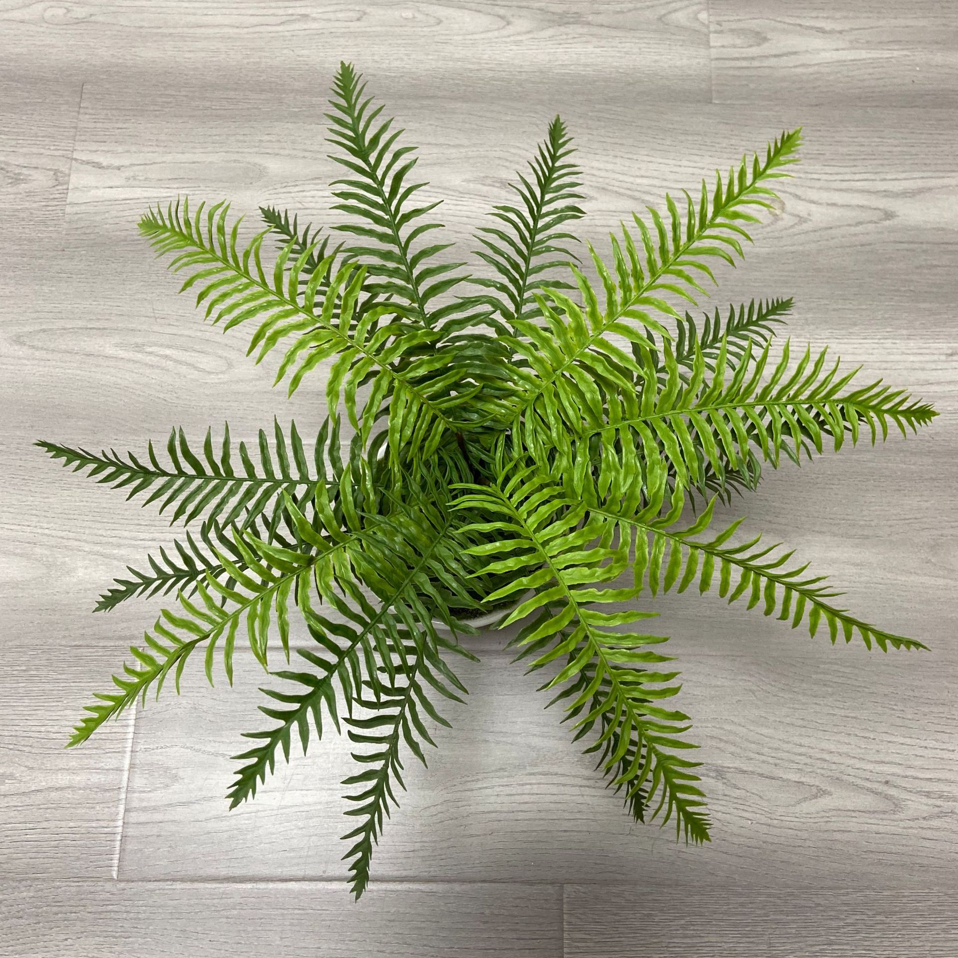 Wholesale High Imitation Persian Fern Grass Various Style Row Grass Green Tianmen East Landscape Plant Fern Grass Leaves