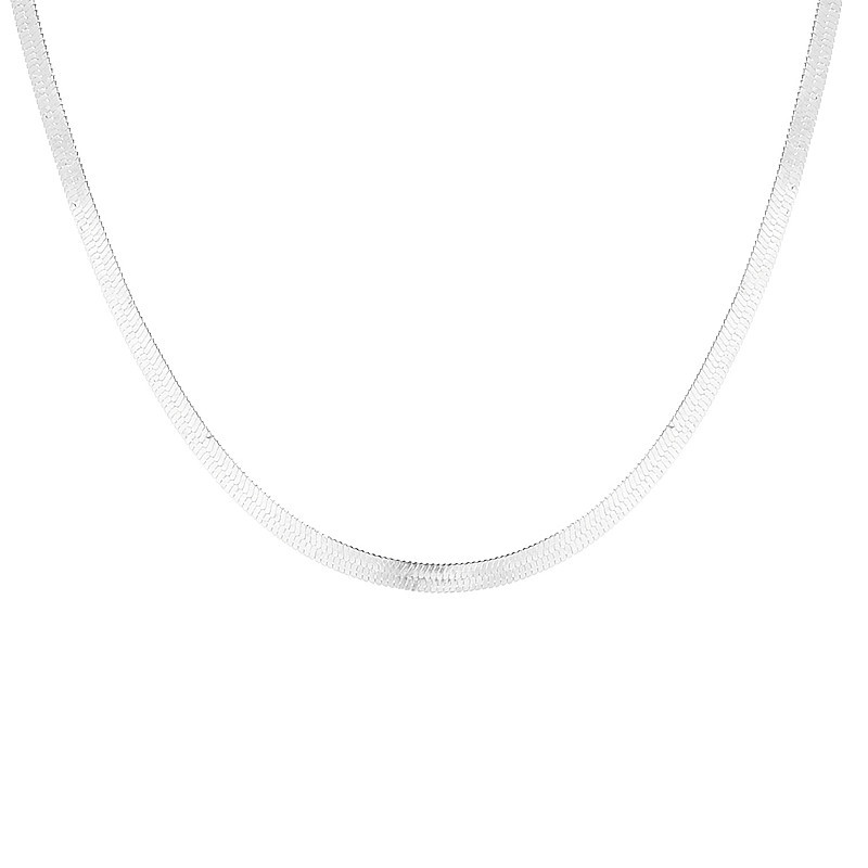 European and American cross-border jewelry fashion short blade chain wholesale Women's simple metal flat chain snake bone chain necklace