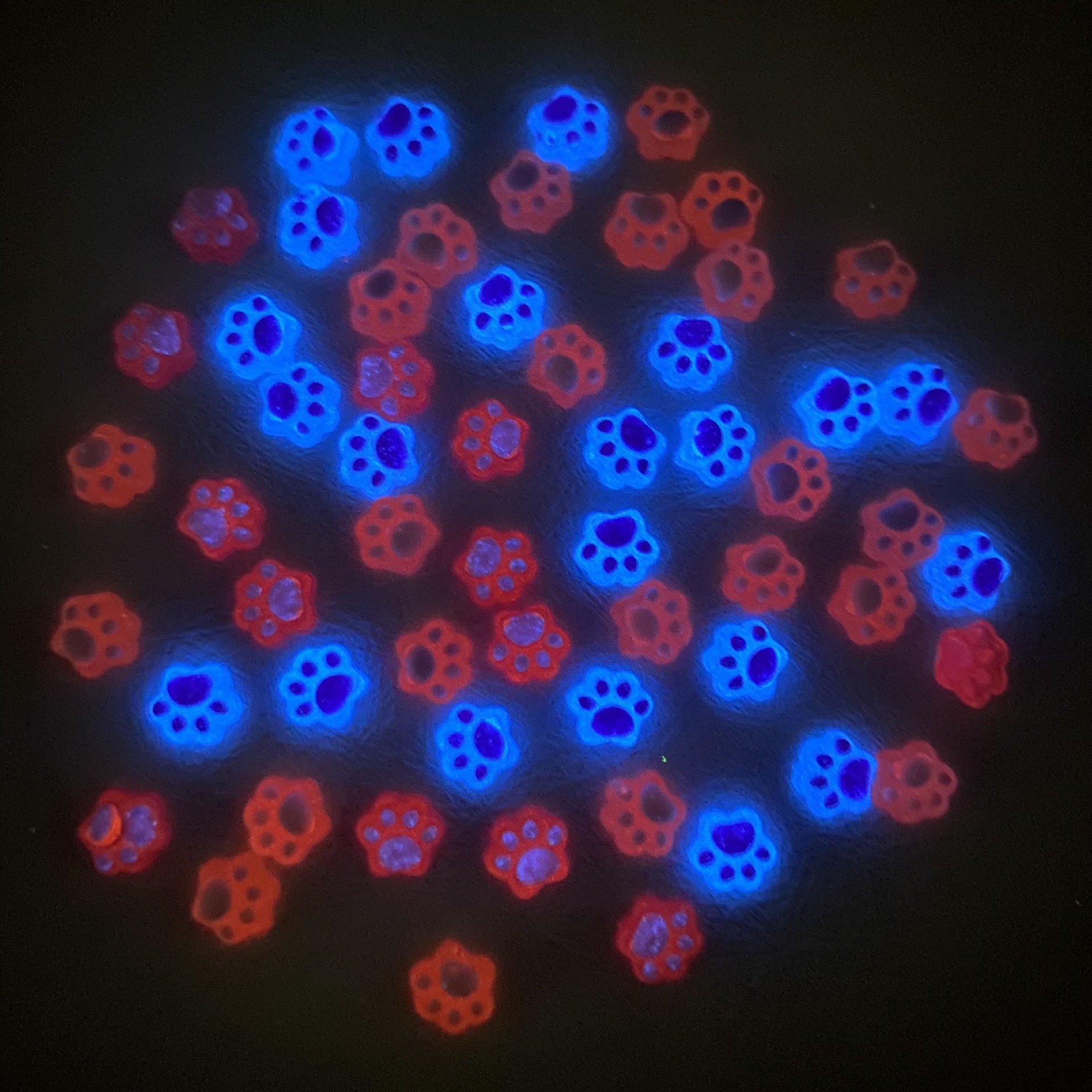 Hot Selling Random Light Change Plus Luminous Cat's Claw Nail Art Accessories DIY Accessories Mobile Phone Case Earrings Live