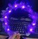 Goose feather wreath purple-purple lamp