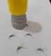 Live mosquito seal 1 yellow