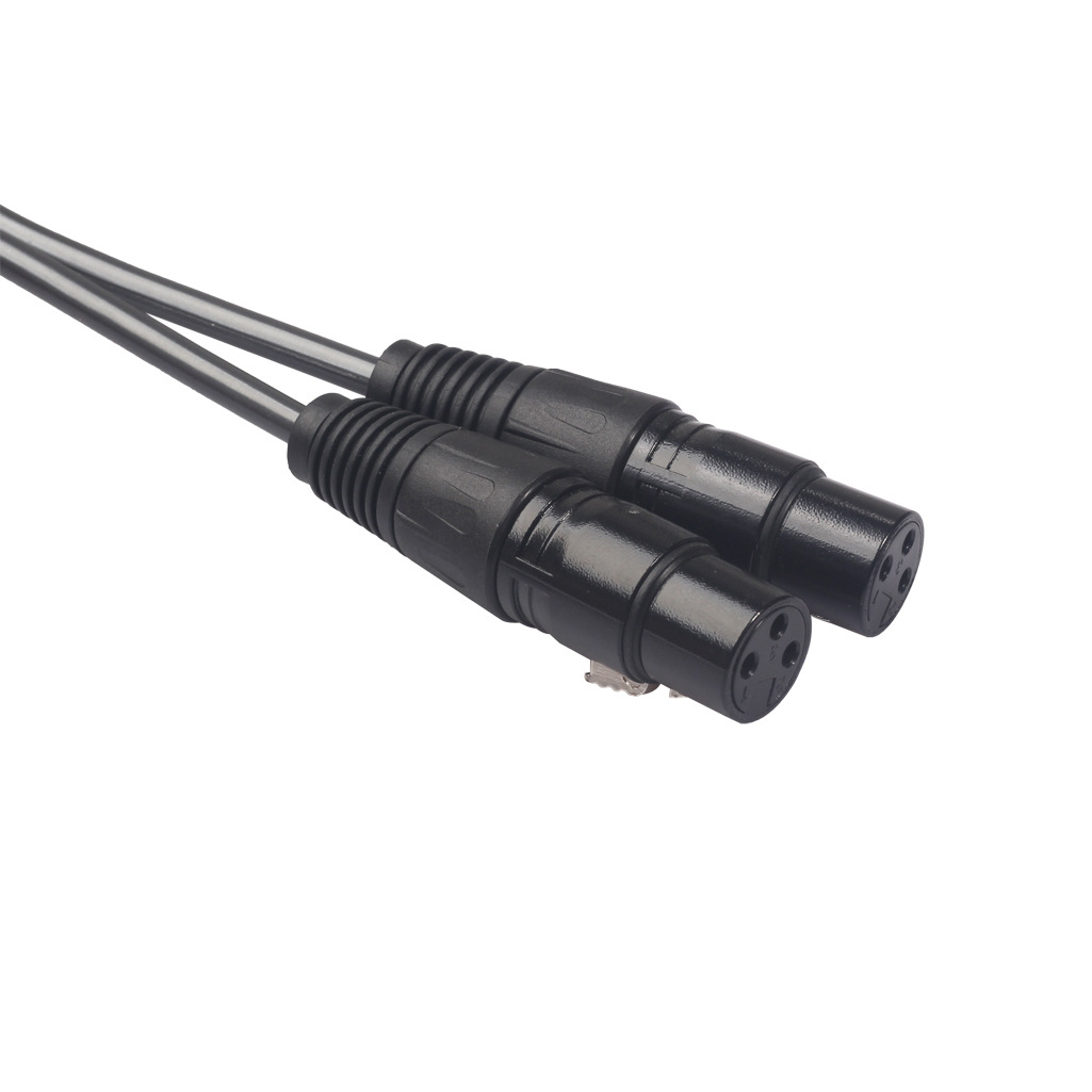 Hot selling Amazon copper wire gold-plated head 2RCA revolution double cannon XLR female mixer power amplifier audio cable 1 meter 5
