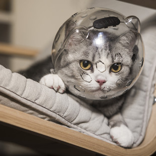 Upgraded cat ears pet space Hood cat anti-bite anti-add breathable protective hood double lock design