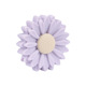 light purple Daisy