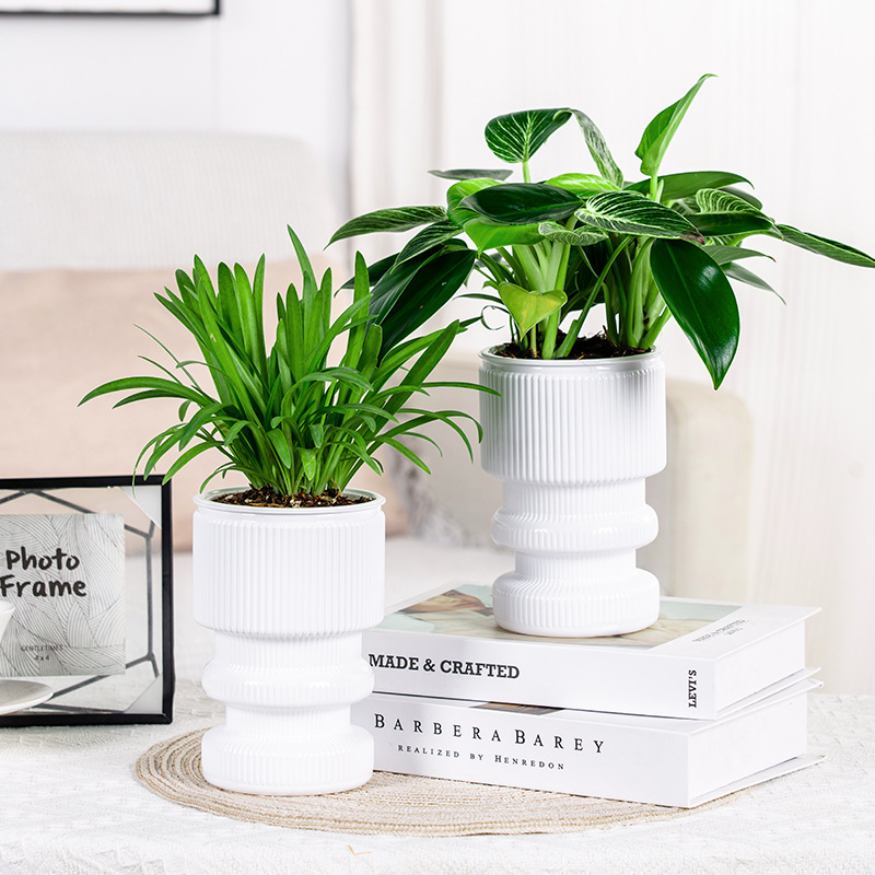 Creative desktop self-absorbent lazy flower pot imitation glass transparent plastic resin small potted hydroponic vase Indoor