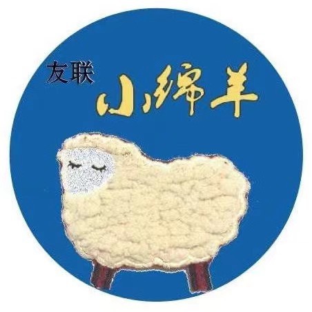 Office and home wool cotton slippers before pregnancy and after pregnancy foot-raising breathable Moon shoes