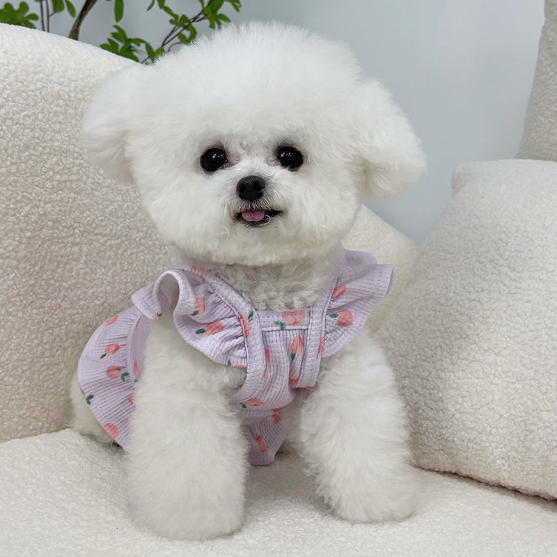 Factory direct supply pet clothes spring and summer new flying sleeve short skirt teddy bear puppy thin universal vest