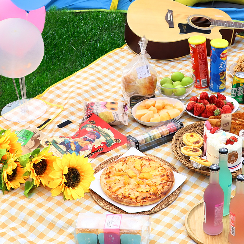 Picnic Mat Spring Outing Moisture-proof Mat Picnic Cloth Outdoor Portable Waterproof Grass Picnic Mat for Outings Thickened ins Style