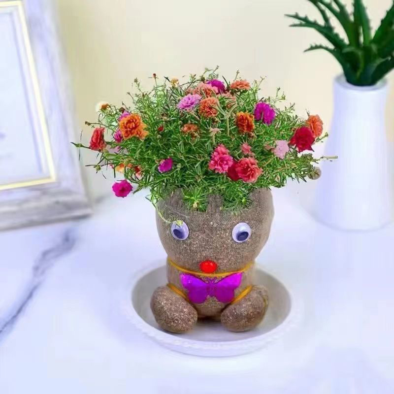 Head long grass doll grass head flowering children planting small pot planting grass green plant observation plant growth kindergarten