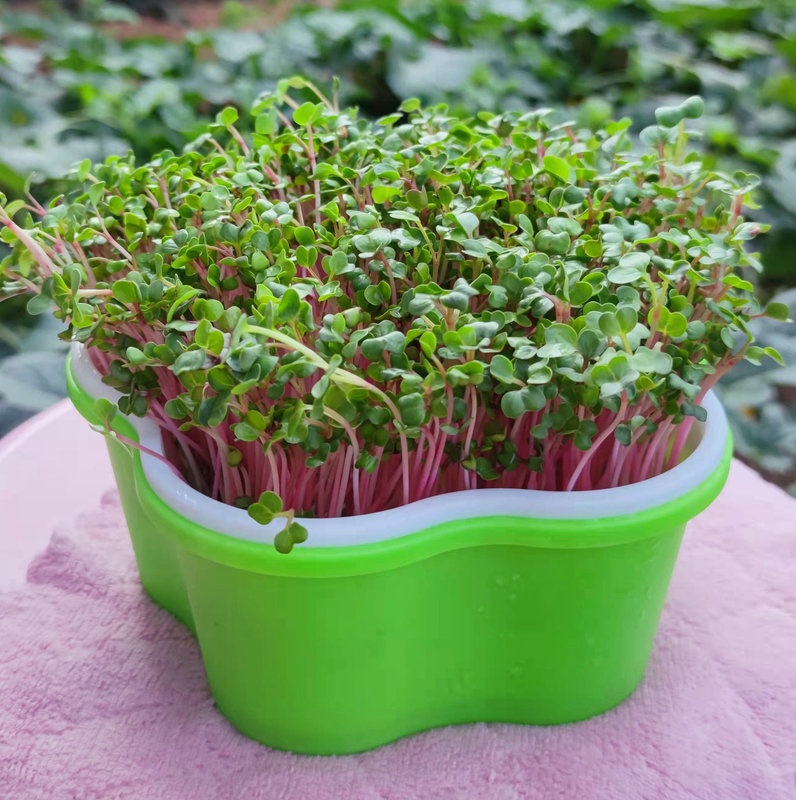 犬の形をした植木鉢さまざまなタイプの植物に適した屋内屋外装飾耐久性のある樹脂素材|undefined