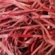 Wine red