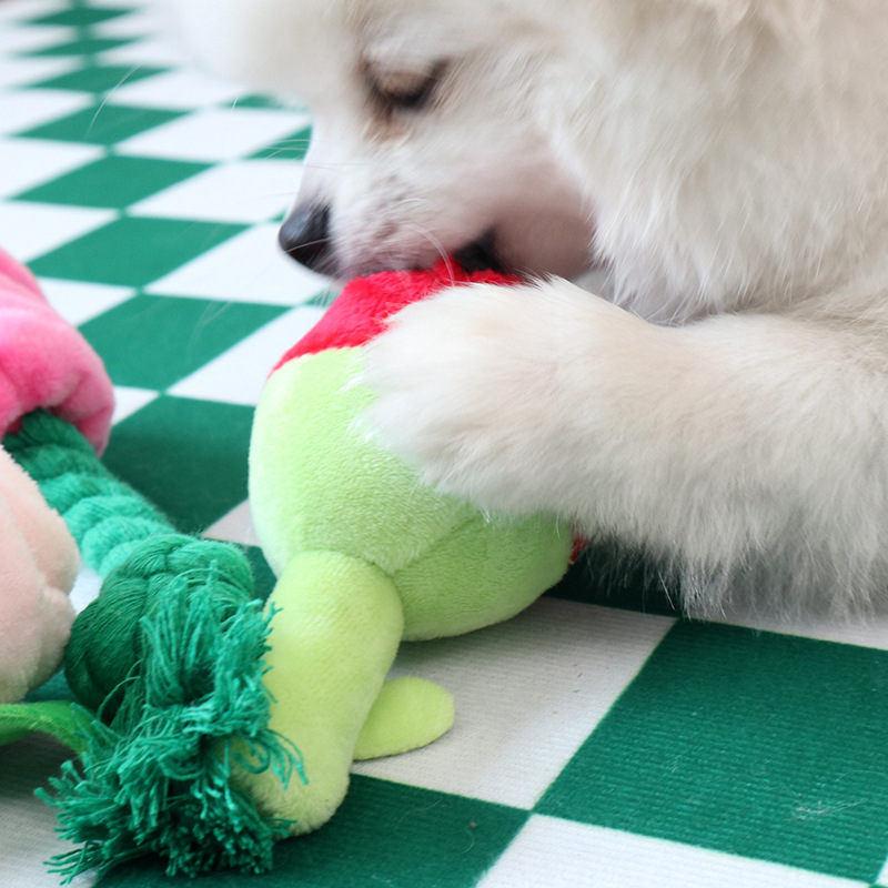 犬の咀嚼音作るおもちゃアマゾンベストセラー綿ロープ用品ペットのおもちゃ犬の歯研削きしむ|undefined