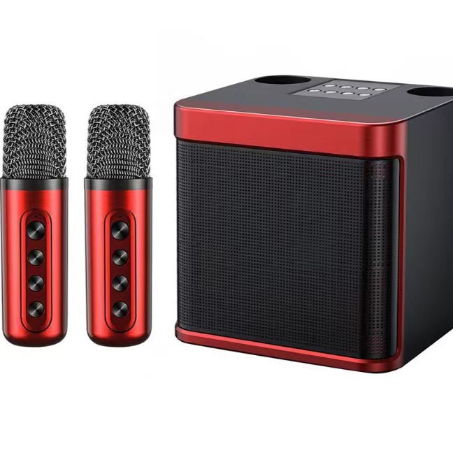 YS203K song Bluetooth audio cross-border wireless dual microphone KTV all-in-one home outdoor 203 Bluetooth speaker