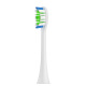 Clean Brilliant White Type Copper Free White