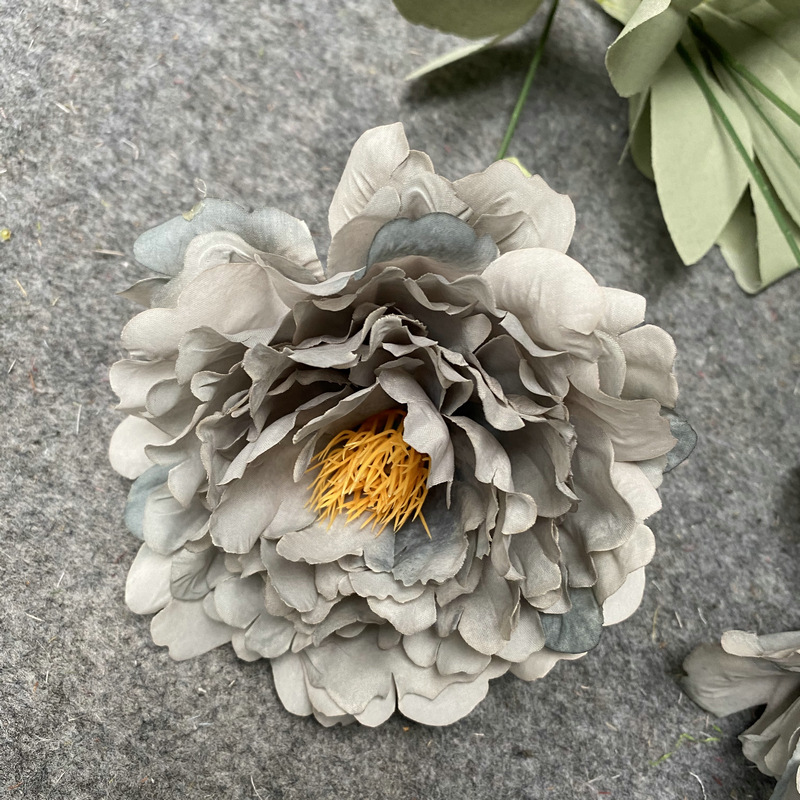 Autumn color flower head Gray