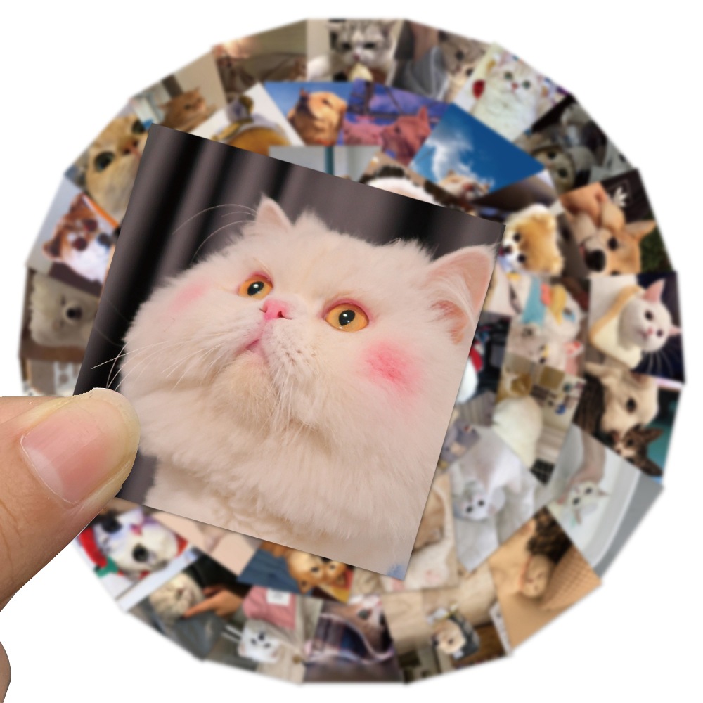 48 cute cat dog square graffiti stickers computer water Cup luggage skateboard stickers children's toy stickers