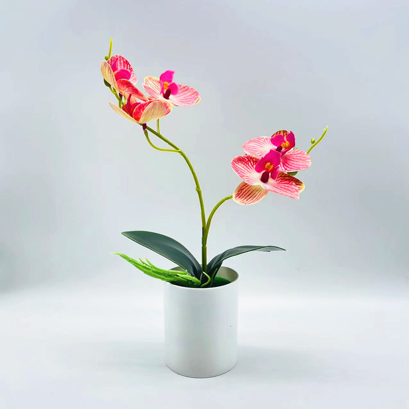 Simulation Potted Plant Simulation Phalaenopsis 3D Printing Film Two Forks Five Flowers Phalaenopsis Bonsai Artificial Artificial Flower Potted Plant