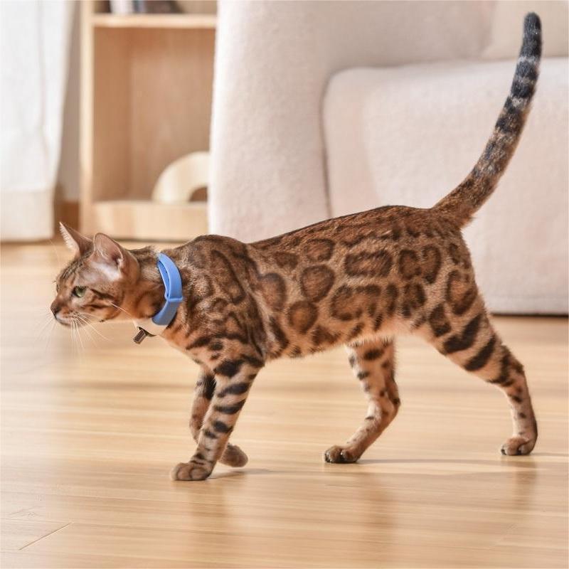 猫のおもちゃ - 屋内猫用ミニチュア子猫ティーザーワンドフェザーアタッチメントインタラクティブおもちゃ|undefined