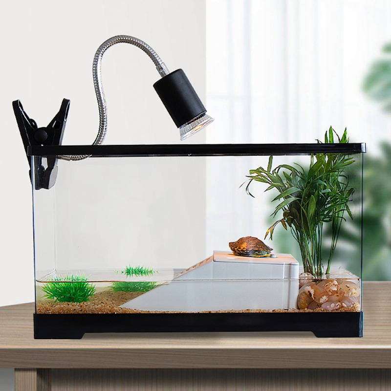 カメのかめの家庭用は干し台を持って台の生態のアクリルのプラスチックの飼育箱を登ります。|undefined