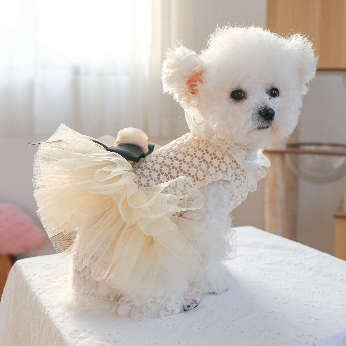Pet ring dog cat clothes wholesale new cute princess puffy yarn Coco miss wedding dress dress dress - 1