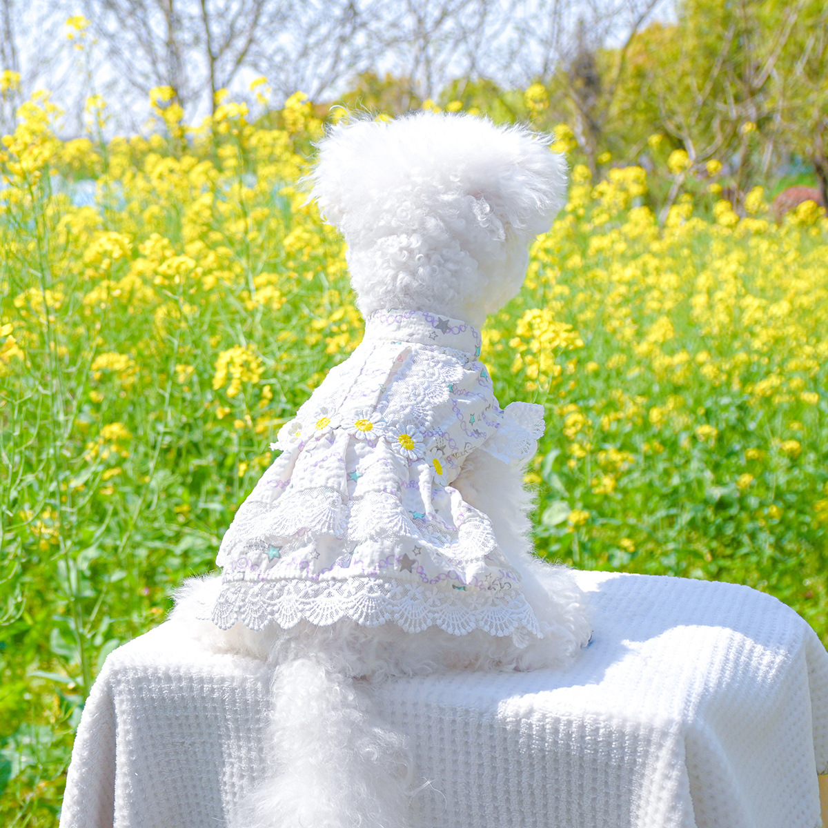 Pet clothes teddy bear clothing manufacturers direct supply heavy industry maid floral skirt collection princess lace dog clothes - 2