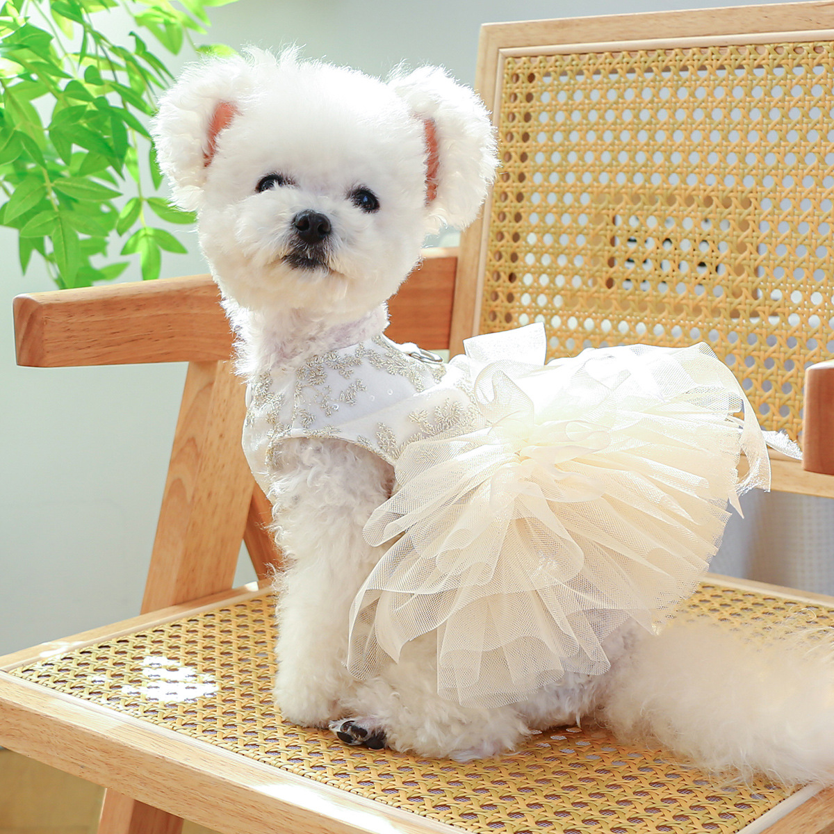 PETCIRCLE Pet Circle Dog Cat Costume Tutu Veil Dress Chest Back High-end Dress Dress Wedding Dress Collection - 1