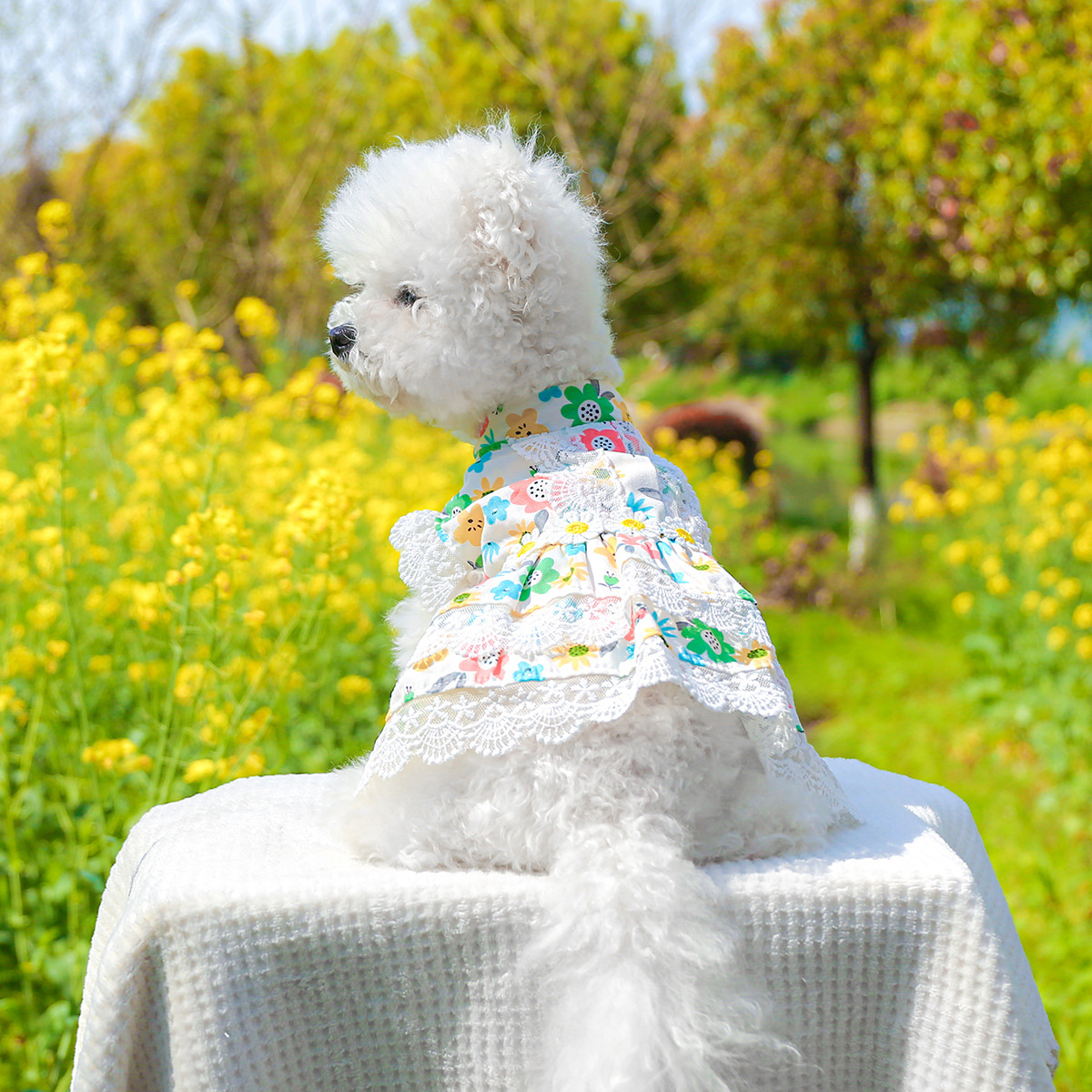 Pet clothes teddy bear clothing manufacturers direct supply heavy industry maid floral skirt collection princess lace dog clothes - 1