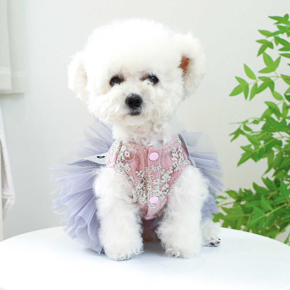 PETCIRCLE pet ring dog cat clothes factory wholesale miss universe dress puffy princess yarn skirt - 4