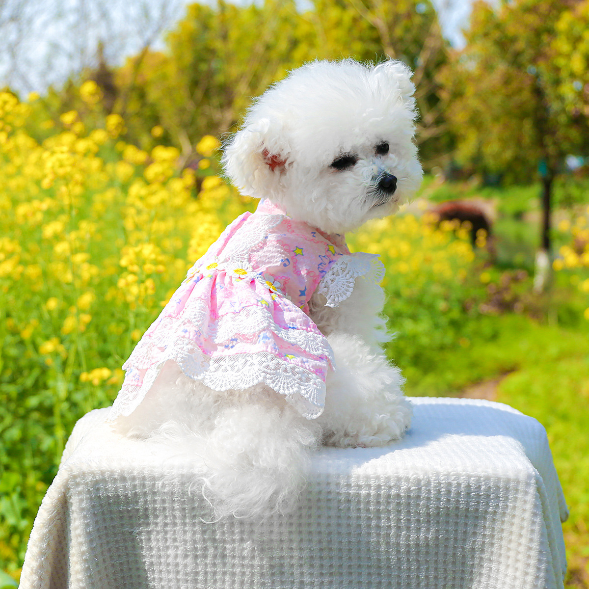 Pet clothes teddy bear clothing manufacturers direct supply heavy industry maid floral skirt collection princess lace dog clothes - 3